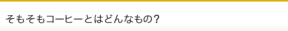 そもそもコーヒーとはどんなもの? そもそもコーヒーとはどんなもの?